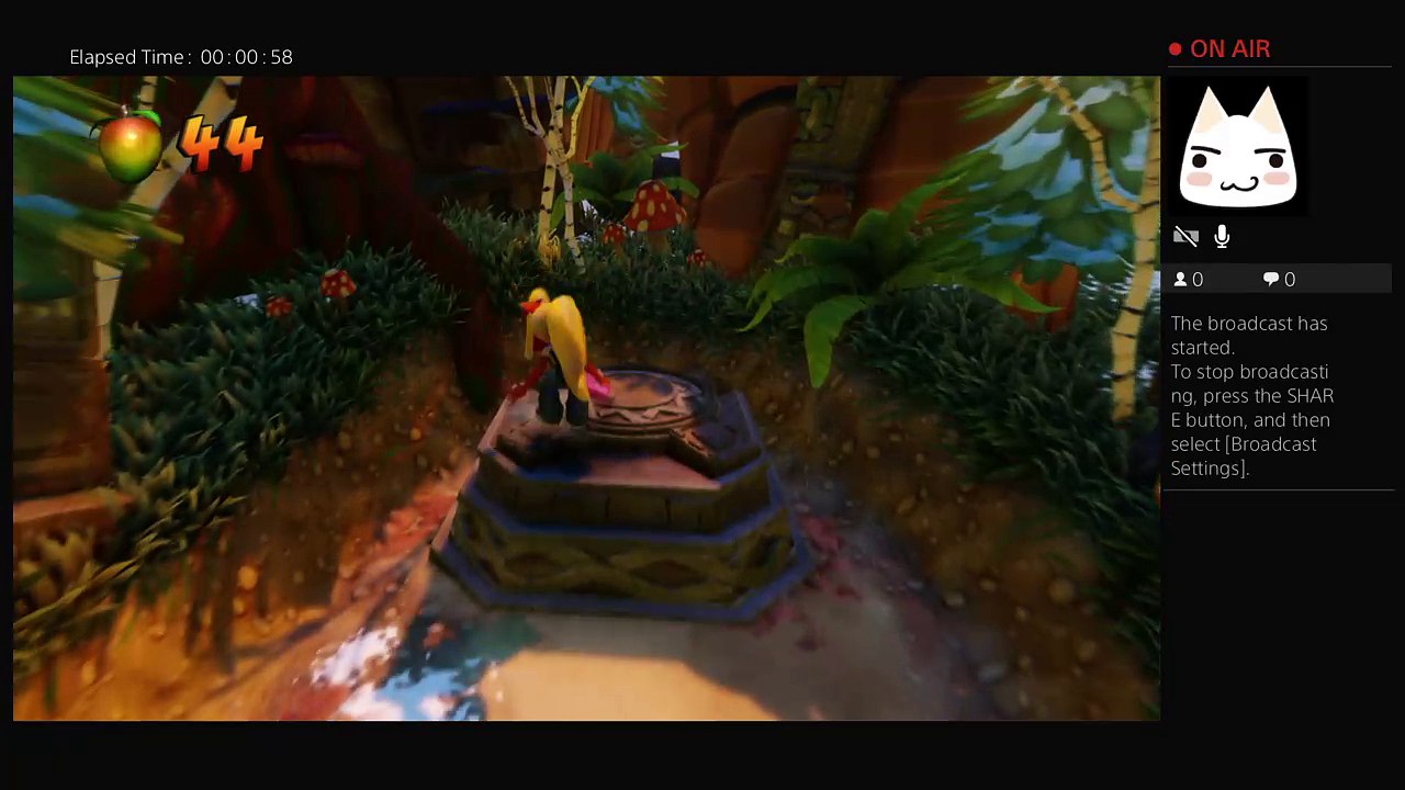 Crash Y