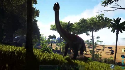 Overwatch moira and others