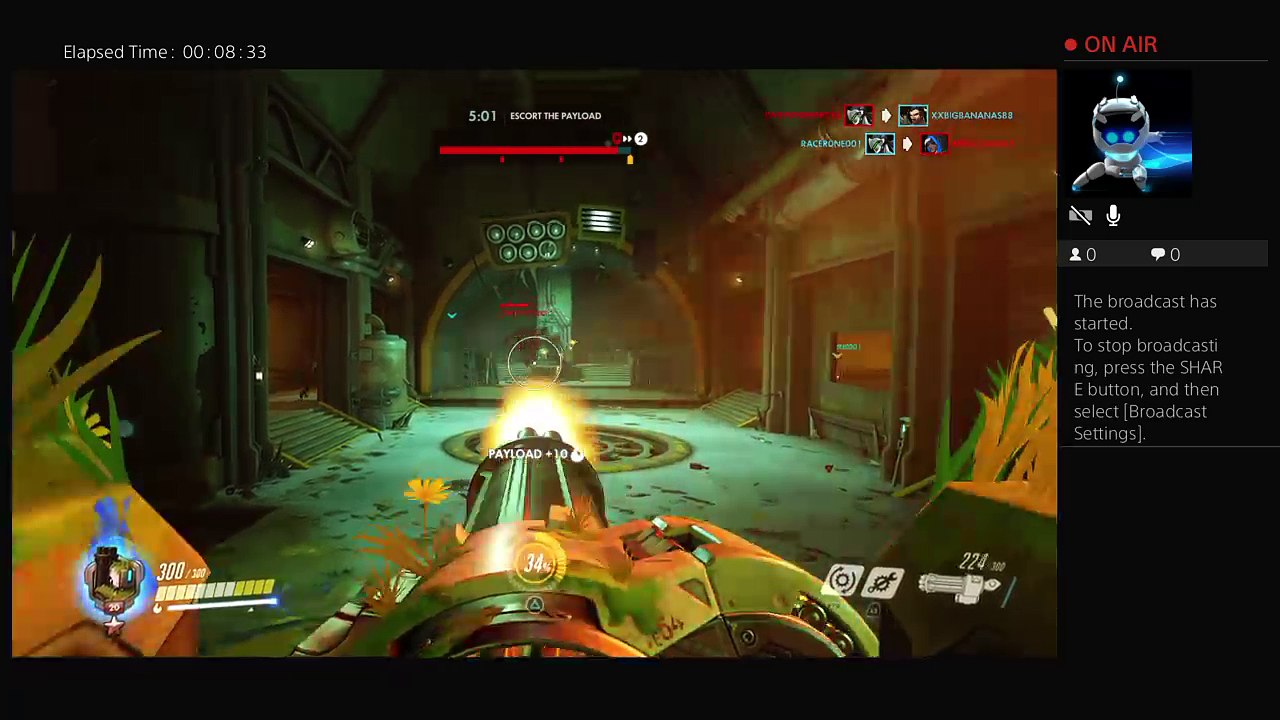 The bastion bros