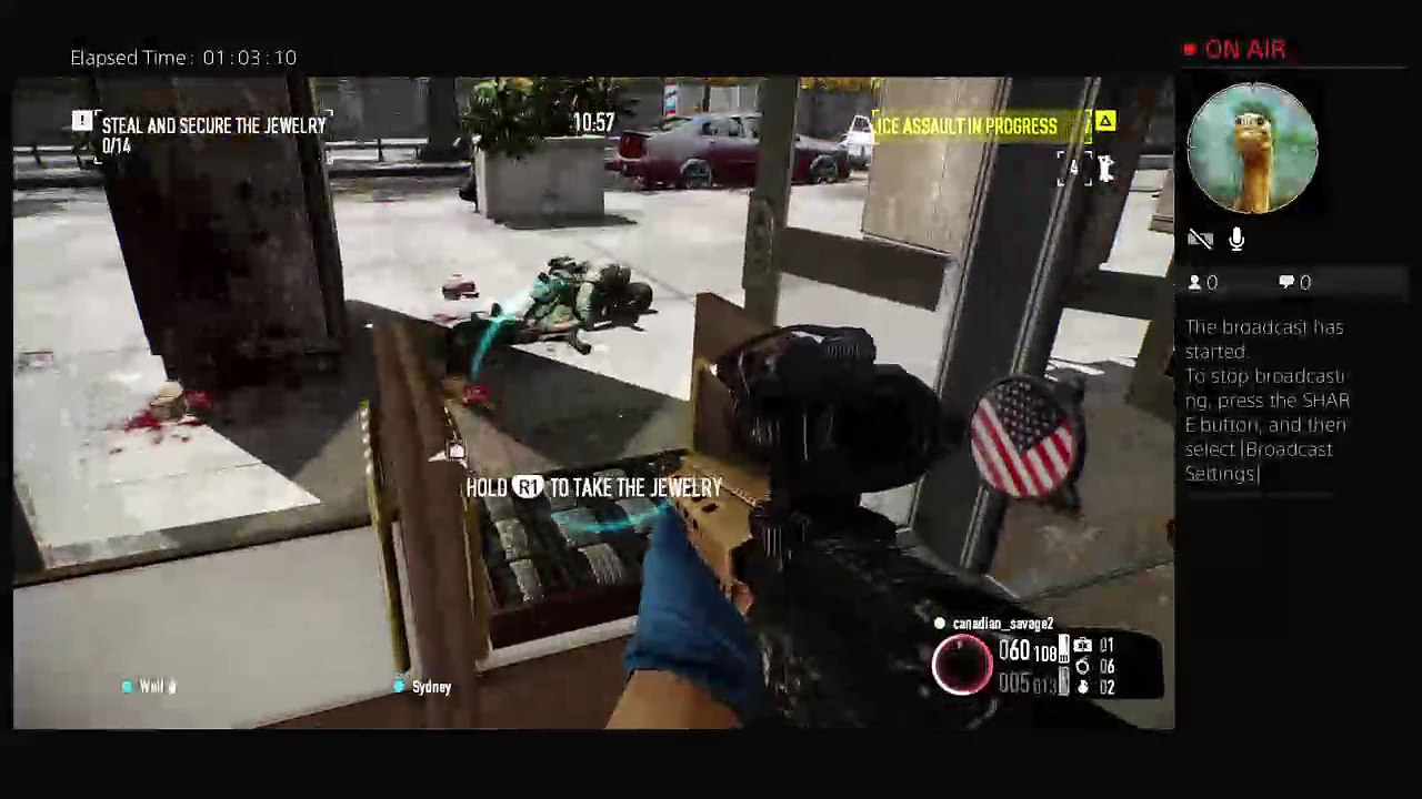 Payday 2 cuz i can