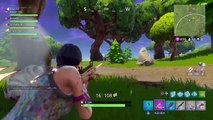 Fortnite Live min gun