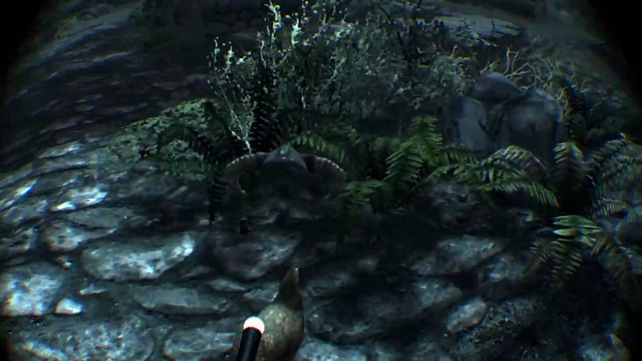 Light_Screen_98's Live PS4 Broadcast
