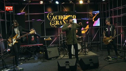 TVT e ShowLivre - Cachorro Grande