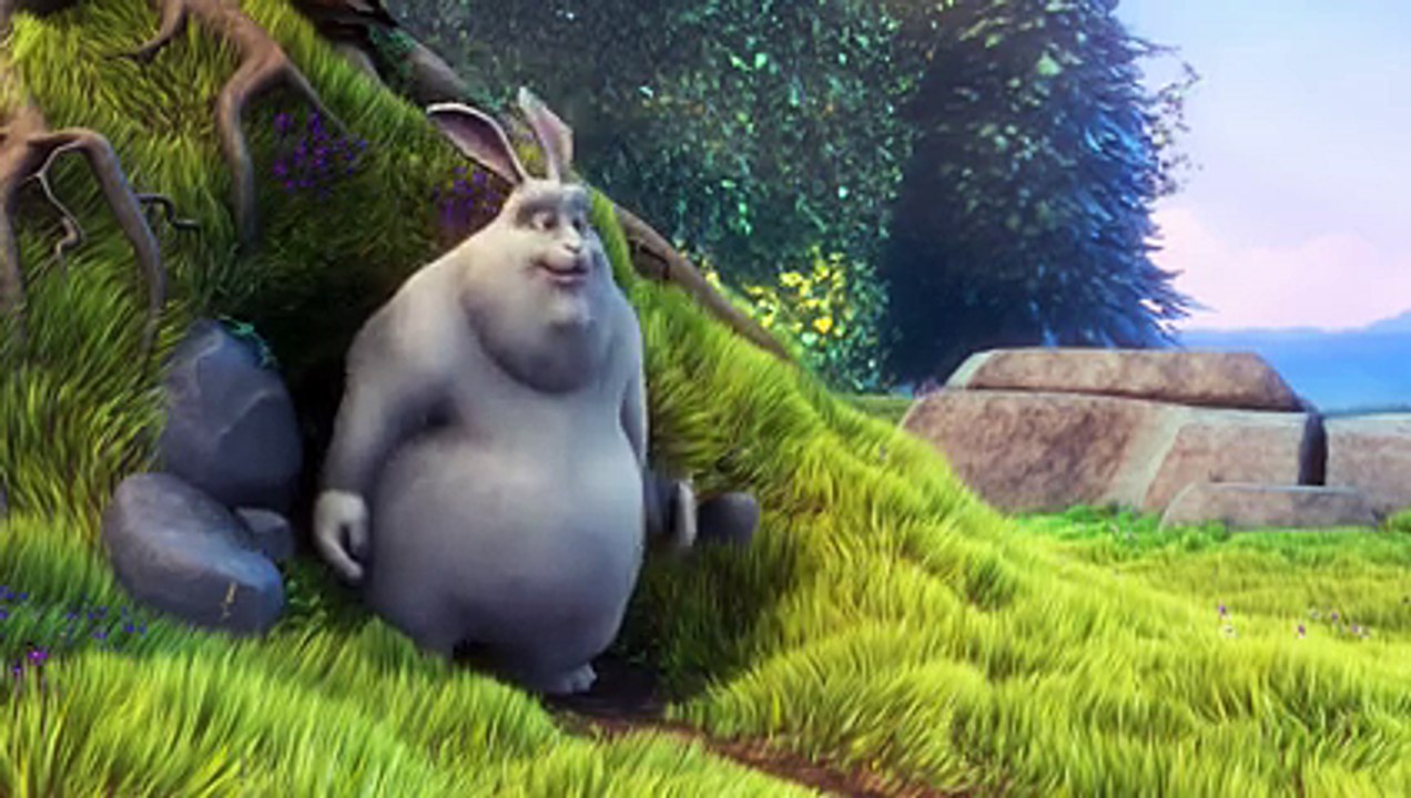 TEST DM OBO ADMIN263