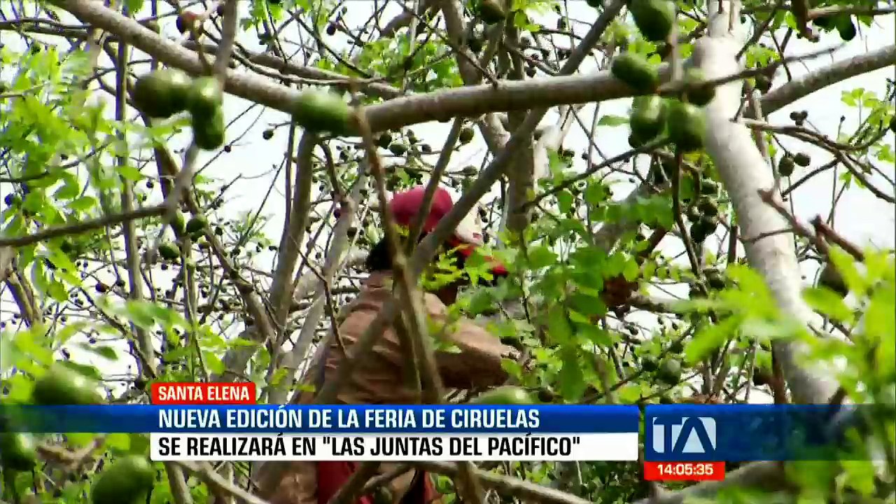 #EnVivo #Teleamazonas #EmisiónCentral