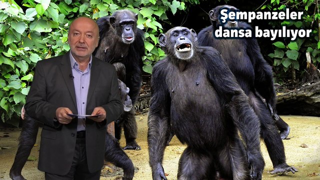 T24 haber bülteni Manşet | 24 Aralık