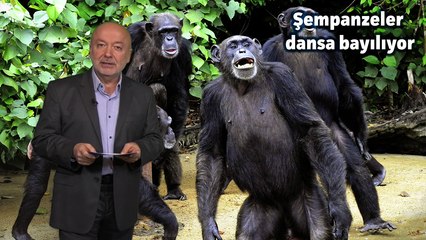 T24 haber bülteni Manşet | 24 Aralık