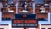 Senate hearing on the bill amending the anti-drugs law