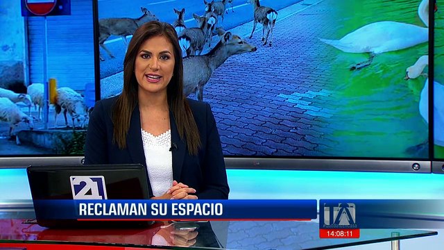 #EnVivo #Teleamazonas #EmisiónCentral