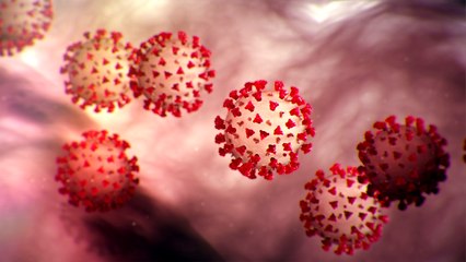 Direct - Coronavirus: Suivez le point de situation de ce Mercredi 22 Avril au Sénégal