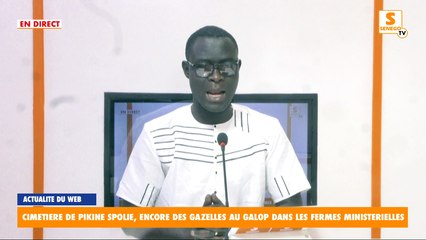 Feuss Net : Cimetière de Pikine spolié, encore des gazelles au galop dans les fermes ministérielles