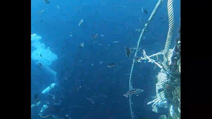 "Startup Societies" - Civilizaciones del Futuro con Julio Alejandro