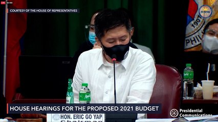 House budget hearing for DFA for 2021 fiscal year