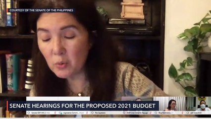 Senate budget hearing for DOH for 2021 fiscal year