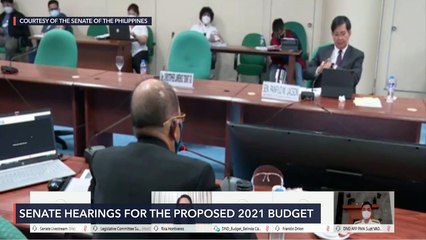 Senate budget hearing for DND for 2021 fiscal year