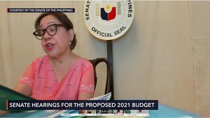 Senate budget hearing for DAR for 2021 fiscal year