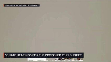 Senate budget hearing for DHSUD for 2021 fiscal year