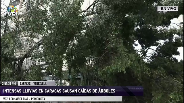 En Vivo - Intensas lluvias en Caracas causan caídas de árboles