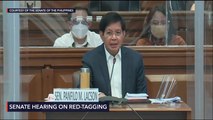 Senate hearing on red-tagging