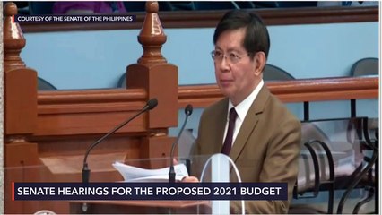 Senate plenary debates on the 2021 national budget bill