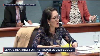 Senate plenary debates on the 2021 national budget bill
