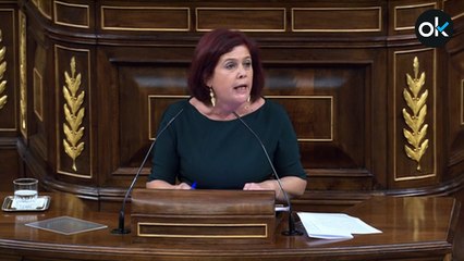 Sigue en directo el pleno del Congreso de los Diputados para la presentación de la Ley Celaá