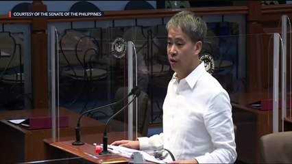 Senate plenary debates on the 2021 national budget bill