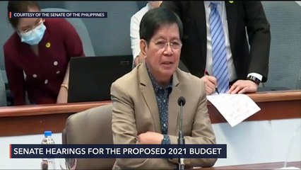 Senate plenary debates on the 2021 national budget bill
