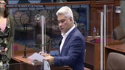 Senate plenary debates on the 2021 national budget bill