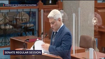 Senate to vote on Create bill and the 2021 national budget