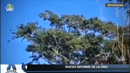 Ahora en Vivo - Último informe de la ONU sobre pistas clandestinas en el Zulia