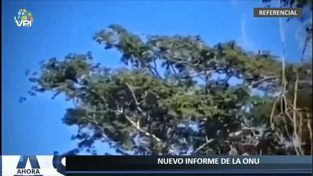Ahora en Vivo - Último informe de la ONU sobre pistas clandestinas en el Zulia