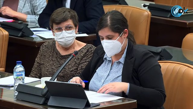 Directo: La reina Letizia preside un acto en homenaje a Clara Campoamor en el Congreso