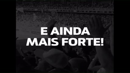 Galo Ao Vivo!