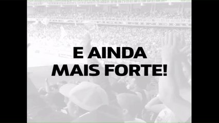 Galo Ao Vivo!
