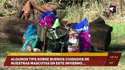 Indignación por maltrato animal en Misiones: arrastraba a un perro con su moto