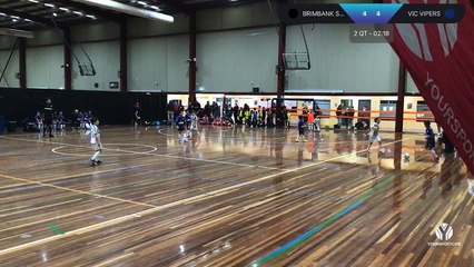 Brimbank Stallions FC vs VIC Vipers Futsal Club