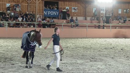 sologn pony 2021