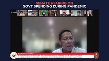 Ex-Duterte adviser Michael Yang faces Senate blue ribbon committee