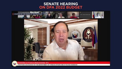 Senate hearing on proposed 2022 budget for DFA
