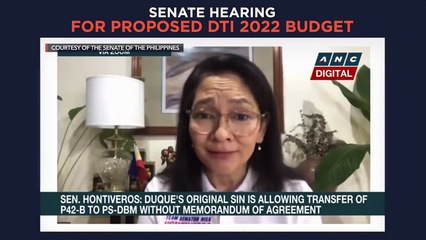 Senate hearing on proposed 2022 budget for DTI