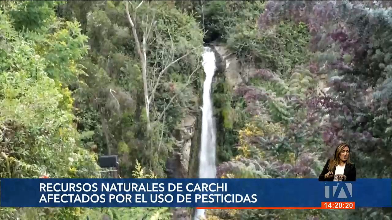 #EnVivo #Teleamazonas #EmisiónCentral