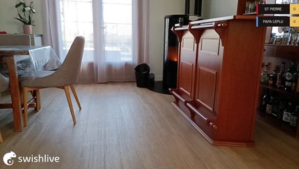 Swish Live - Match de Tennis de table du 12/02 - 7641264