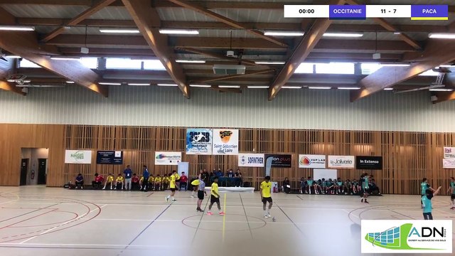 Swish Live - Ligue Occitanie Handball - Ligue Provence-Alpes-Côte d'Azur Handball - 7670645