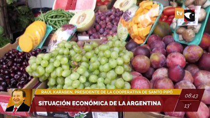 Yerba Mate | El 1° de abril comenzará la cosecha gruesa. Raúl Karabén es presidente de la Cooperativa Santo Pipó