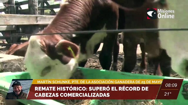 #Agro | Remate histórico: superó el récord de cabezas comercializadas. Entrevista a Martín Schunke, presidente de la Asociación Ganadera de 25 de mayo