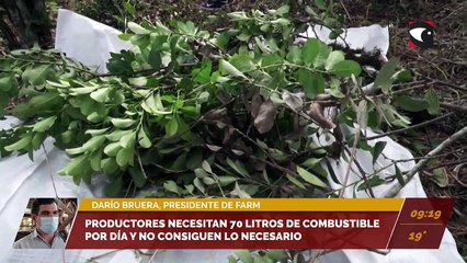 Productores necesitan 70 litros de combustible por día y no consiguen lo necesario.  Entrevista a Darío Bruera, Presidente de la Federación de Asociaciones Rurales de Misiones (FARM)