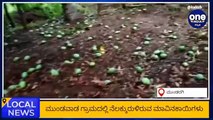 Samachara Sanchari @5:00 PM | Karnataka News Round UP LIVE | Oneindia Kannada