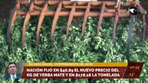 Nación fijó en $46,89 el nuevo precio del kg de yerba mate y de $178,18 la tonelada
