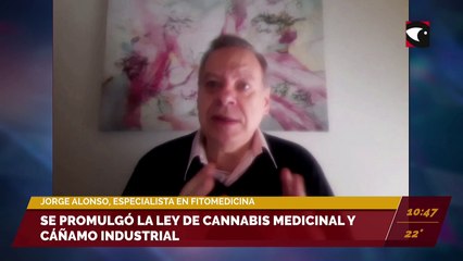 Se promulgó la ley de cannabis medicinal y cáñamo industrial